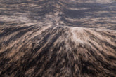 Shaunell Area Rug